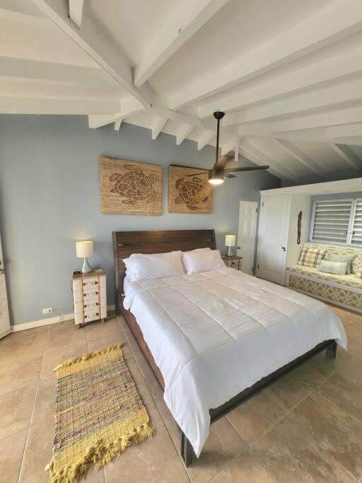 Vila Caribbean Splendor With Million Dollar Views Christiansted Exteriér fotografie