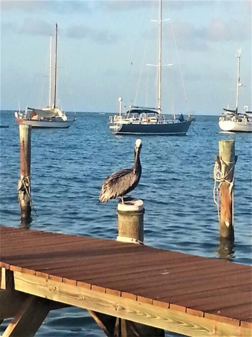 Vila Caribbean Splendor With Million Dollar Views Christiansted Exteriér fotografie